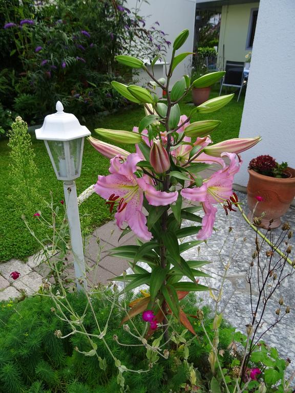Ferienwohnung Traudl Singer Innsbruck Buitenkant foto